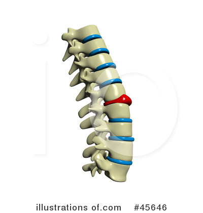 Vertebrae Clipart #45646 by Michael Schmeling