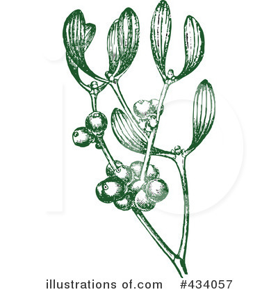 Royalty-Free (RF) Mistletoe Clipart Illustration by BestVector - Stock Sample #434057