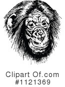 Monkey Clipart #1121369 by Prawny Vintage