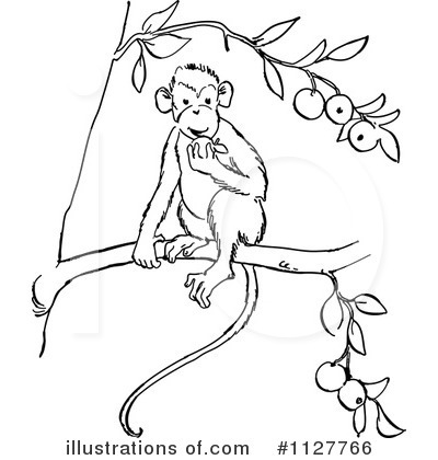 Monkeys Clipart #1127766 by Picsburg