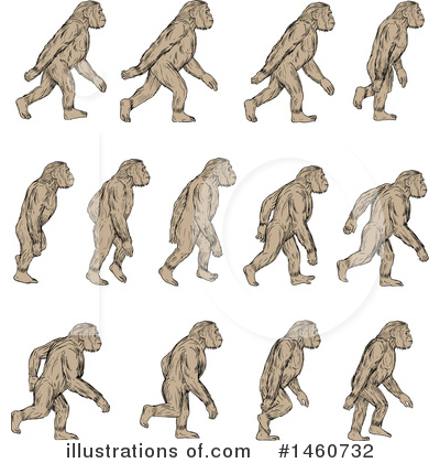 Royalty-Free (RF) Monkey Clipart Illustration by patrimonio - Stock Sample #1460732