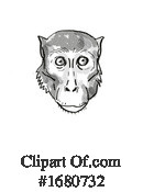 Monkey Clipart #1680732 by patrimonio