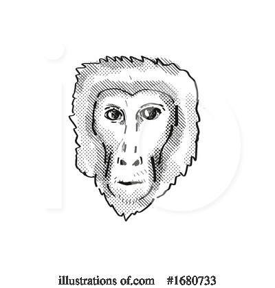 Royalty-Free (RF) Monkey Clipart Illustration by patrimonio - Stock Sample #1680733