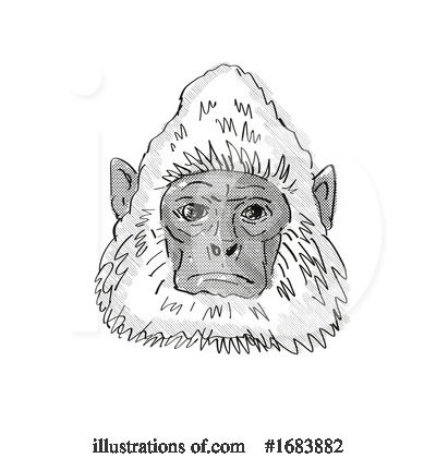 Royalty-Free (RF) Monkey Clipart Illustration by patrimonio - Stock Sample #1683882