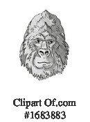 Monkey Clipart #1683883 by patrimonio