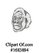 Monkey Clipart #1683894 by patrimonio