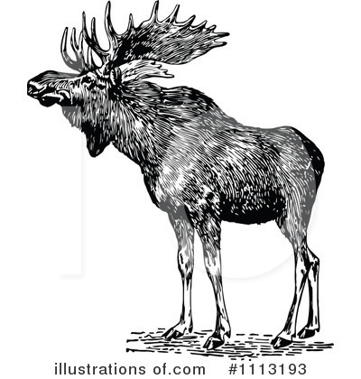 Royalty-Free (RF) Moose Clipart Illustration by Prawny Vintage - Stock Sample #1113193