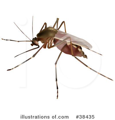 Royalty-Free (RF) Mosquito Clipart Illustration by dero - Stock Sample #38435