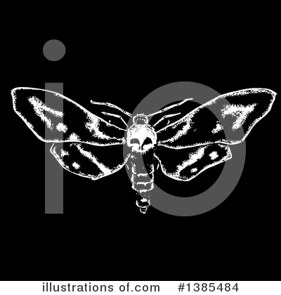 Moth Clipart #1385484 by lineartestpilot