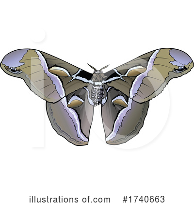 Royalty-Free (RF) Moth Clipart Illustration by dero - Stock Sample #1740663