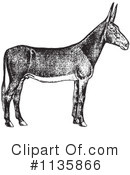 Mule Clipart #1135866 by Picsburg