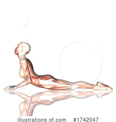 Royalty-Free (RF) Muscle Clipart Illustration by KJ Pargeter - Stock Sample #1742047