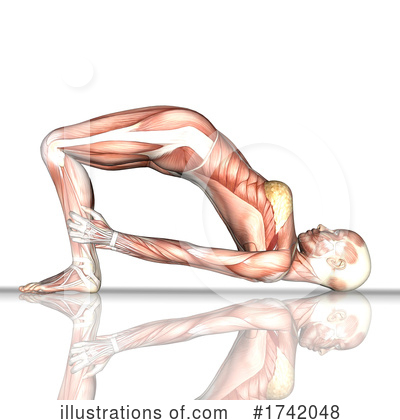 Royalty-Free (RF) Muscle Clipart Illustration by KJ Pargeter - Stock Sample #1742048
