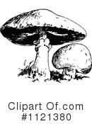 Mushroom Clipart #1121380 by Prawny Vintage