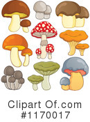 Mushroom Clipart #1170017 by visekart