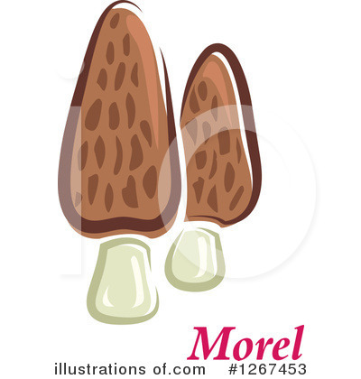 Morel Clipart #1267453 by Vector Tradition SM