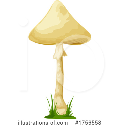 Royalty-Free (RF) Mushroom Clipart Illustration by Vector Tradition SM - Stock Sample #1756558