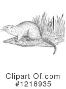 Muskrat Clipart #1218935 by Picsburg