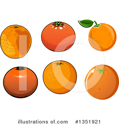 Royalty-Free (RF) Navel Orange Clipart Illustration by Vector Tradition SM - Stock Sample #1351921