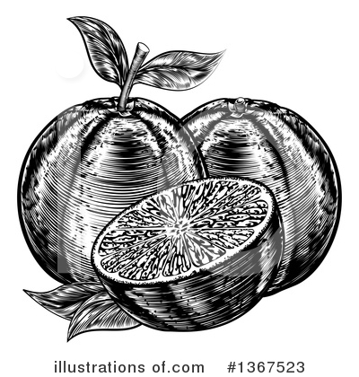 Oranges Clipart #1367523 by AtStockIllustration
