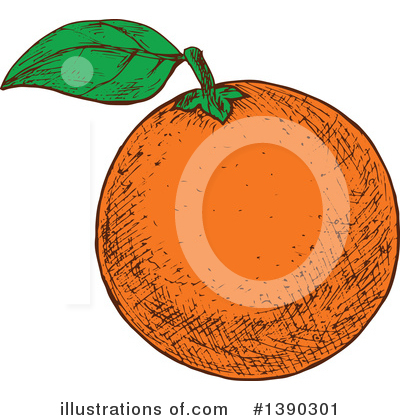Royalty-Free (RF) Navel Orange Clipart Illustration by Vector Tradition SM - Stock Sample #1390301