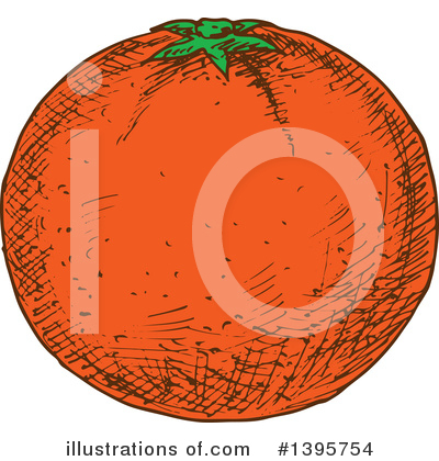Royalty-Free (RF) Navel Orange Clipart Illustration by Vector Tradition SM - Stock Sample #1395754