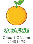 Navel Orange Clipart #1459475 by Hit Toon