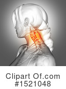 Neck Clipart #1521048 by KJ Pargeter