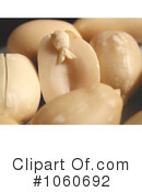Nut Clipart #1060692 by Kenny G Adams
