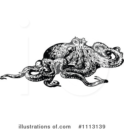 Octopus Clipart #1113139 by Prawny Vintage