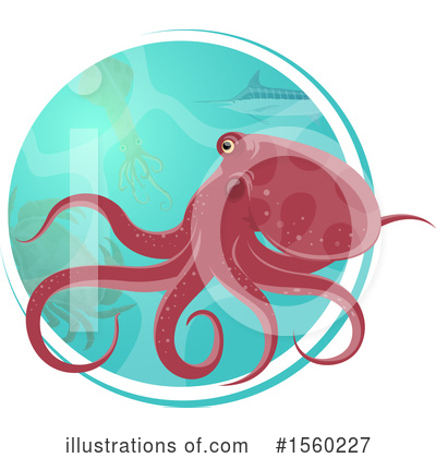 Octopus Clipart #1560227 by Vector Tradition SM
