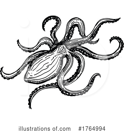 Octopus Clipart #1764994 by Vector Tradition SM