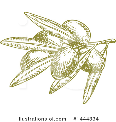 Royalty-Free (RF) Olive Clipart Illustration by Vector Tradition SM - Stock Sample #1444334