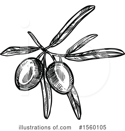 Royalty-Free (RF) Olive Clipart Illustration by Vector Tradition SM - Stock Sample #1560105