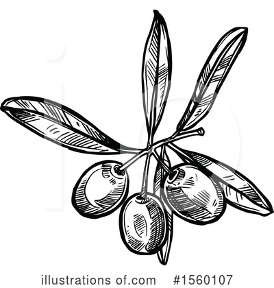 Royalty-Free (RF) Olive Clipart Illustration by Vector Tradition SM - Stock Sample #1560107