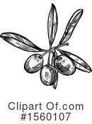 Olive Clipart #1560107 by Vector Tradition SM