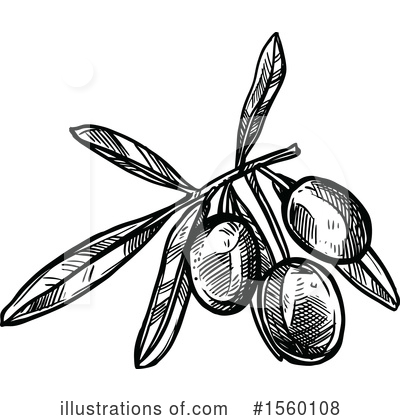 Royalty-Free (RF) Olive Clipart Illustration by Vector Tradition SM - Stock Sample #1560108