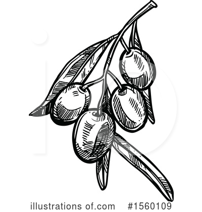 Royalty-Free (RF) Olive Clipart Illustration by Vector Tradition SM - Stock Sample #1560109