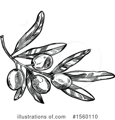 Royalty-Free (RF) Olive Clipart Illustration by Vector Tradition SM - Stock Sample #1560110