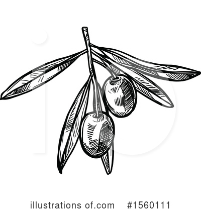Royalty-Free (RF) Olive Clipart Illustration by Vector Tradition SM - Stock Sample #1560111