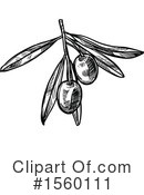 Olive Clipart #1560111 by Vector Tradition SM