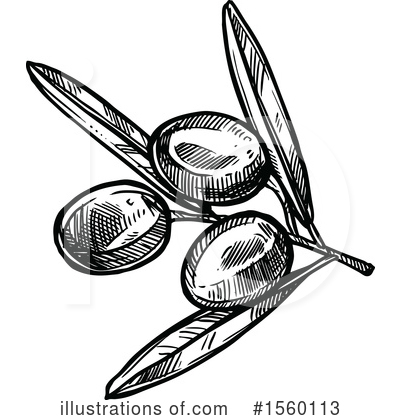 Royalty-Free (RF) Olive Clipart Illustration by Vector Tradition SM - Stock Sample #1560113