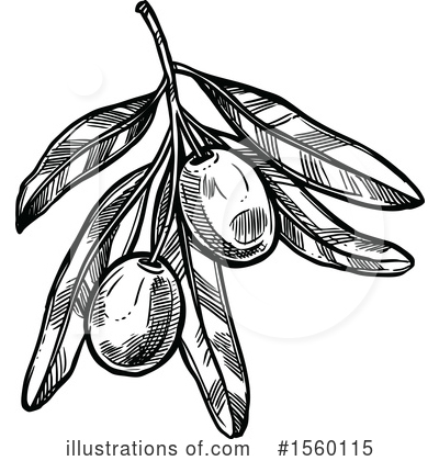 Royalty-Free (RF) Olive Clipart Illustration by Vector Tradition SM - Stock Sample #1560115