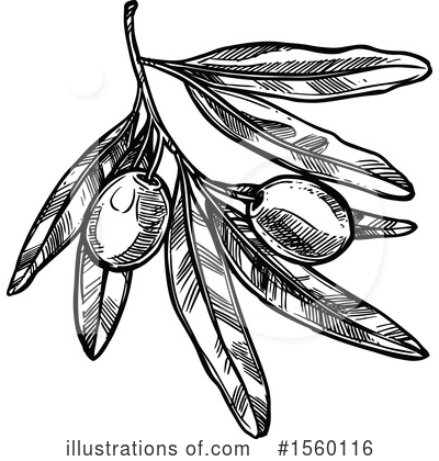 Royalty-Free (RF) Olive Clipart Illustration by Vector Tradition SM - Stock Sample #1560116