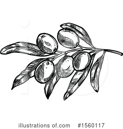 Royalty-Free (RF) Olive Clipart Illustration by Vector Tradition SM - Stock Sample #1560117