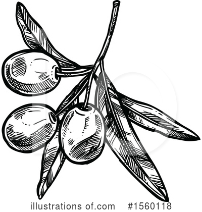 Royalty-Free (RF) Olive Clipart Illustration by Vector Tradition SM - Stock Sample #1560118