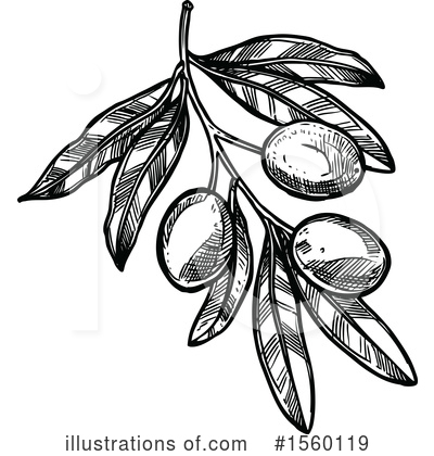 Royalty-Free (RF) Olive Clipart Illustration by Vector Tradition SM - Stock Sample #1560119