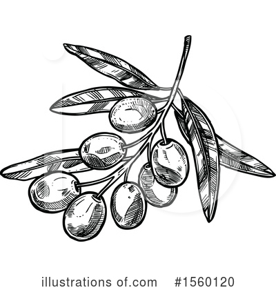 Royalty-Free (RF) Olive Clipart Illustration by Vector Tradition SM - Stock Sample #1560120
