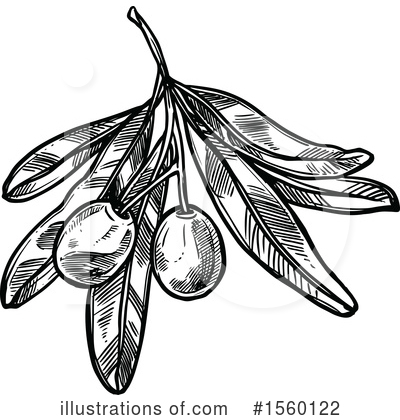 Royalty-Free (RF) Olive Clipart Illustration by Vector Tradition SM - Stock Sample #1560122