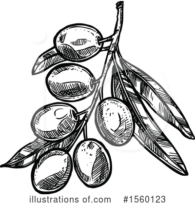 Royalty-Free (RF) Olive Clipart Illustration by Vector Tradition SM - Stock Sample #1560123